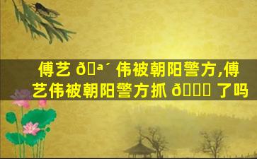 傅艺 🪴 伟被朝阳警方,傅艺伟被朝阳警方抓 🐘 了吗
